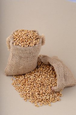 Arka planda küçük torbalar halinde buğday, kapat.