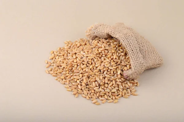 Пшеница в небольшом мешке на заднем плане, Закрыть . — стоковое фото