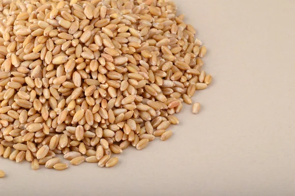 Heap Wheat grains on background. Close up — Stock Photo, Image