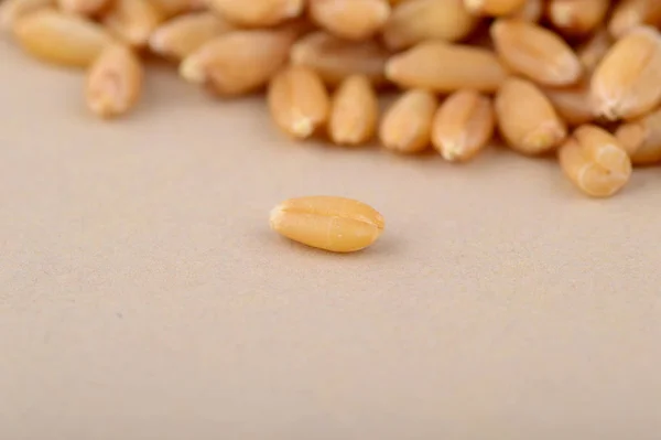 Grani di grano mucchio sullo sfondo. Da vicino. — Foto Stock