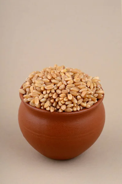 Wheat grains in clay pot on cream background. Close up. — Stock Photo, Image