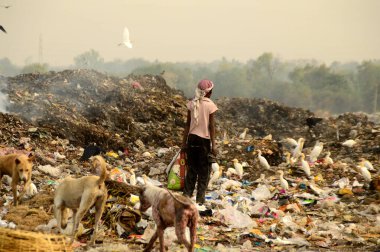 Amravati, Maharashtra, Hindistan - 09 Nisan 2014: Çöpte tanımlanamayan bez toplayıcıları geri dönüşümlü malzeme arıyorlar. Hindistan 'daki kara ve hava kirliliği 09 Nisan 2014' te, Amravati, Hindistan.