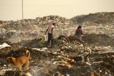 Amravati, Maharashtra, Hindistan - 09 Nisan 2014: Çöpte tanımlanamayan bez toplayıcıları geri dönüşümlü malzeme arıyorlar. Hindistan 'daki kara ve hava kirliliği 09 Nisan 2014' te, Amravati, Hindistan.