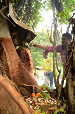 Nagpur, Maharashtra, Hindistan - 01 Ağustos: 