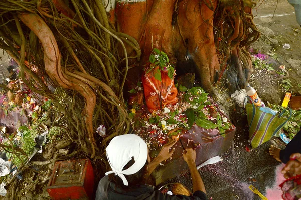 Nagpur, Maharashtra, Indien - 01 augusti: Människor dyrkar Orm Gud i "Nag Panchami" festivalen. Det är traditionell dyrkan av ormar eller ormar observerad av hinduer i Nagpur, Indien den 01 augusti 2014 — Stockfoto
