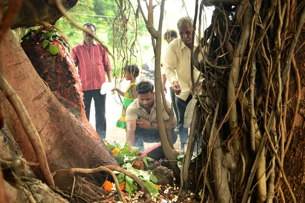 NAGPUR, MAHARASHTRA, INDE - 01 AOÛT : Adoration populaire de Dieu Serpent au festival "Nag Panchami". C'est le culte traditionnel des serpents ou des serpents observé par les hindous à Nagpur, en Inde, le 01 août 2014 — Photo