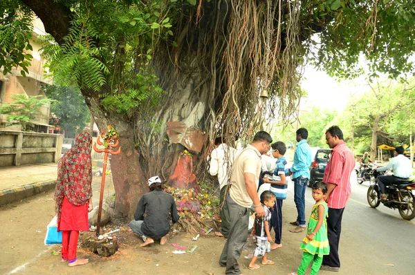 NAGPUR, MAHARASHTRA, INDE - 01 AOÛT : Adoration populaire de Dieu Serpent au festival "Nag Panchami". C'est le culte traditionnel des serpents ou des serpents observé par les hindous à Nagpur, en Inde, le 01 août 2014 — Photo