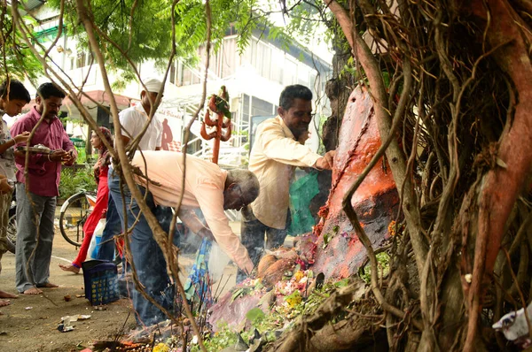 NAGPUR, MAHARASHTRA, INDE - 01 AOÛT : Adoration populaire de Dieu Serpent au festival "Nag Panchami". C'est le culte traditionnel des serpents ou des serpents observé par les hindous à Nagpur, en Inde, le 01 août 2014 — Photo