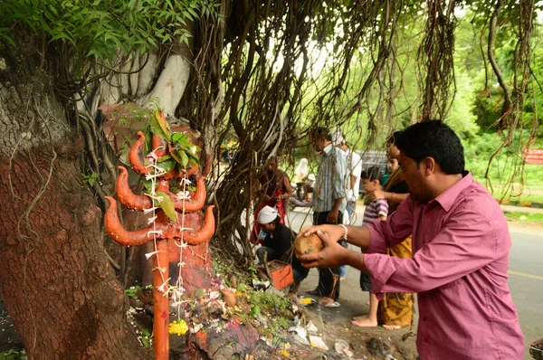 インドのマハラシュトラ州ナグプル- 8月01日: 「ナグパンチャミ」祭りでヘビ神の人々の崇拝。2014年8月1日にインドのナグプルでヒンドゥスによって観察された蛇や蛇の伝統的な崇拝です。 — ストック写真