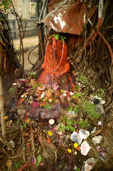 Nagpur, Maharashtra, India - 01 augustus: Mensen aanbidden Snake God in "Nag Panchami" festival. Het is de traditionele aanbidding van slangen of slangen waargenomen door Hindoes in Nagpur, India op 01 Augustus 2014 — Stockfoto