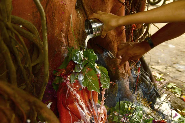 NAGPUR, MAHARASHTRA, INDIA - 01 de agosto: La gente adora a Dios Serpiente en el festival "Nag Panchami". Es el culto tradicional de serpientes o serpientes observado por los hindúes en Nagpur, India el 01 de agosto de 2014. —  Fotos de Stock