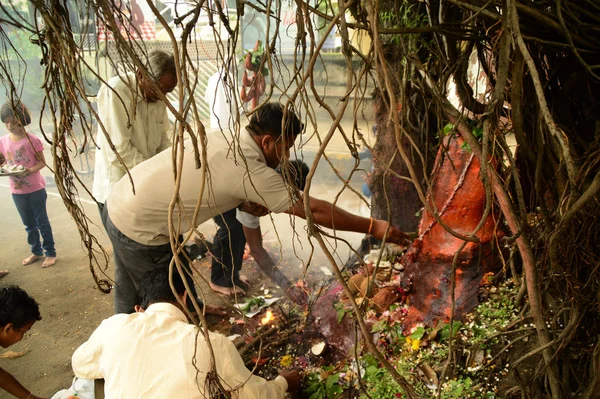 Nagpur, Maharashtra, Indie - 01 sierpnia: Ludzie czczą Boga Węża na festiwalu "Nag Panchami". To jest tradycyjne czczenie węży lub węży zaobserwowane przez Hindusów w Nagpur, Indie na 01 Sierpień 2014 — Zdjęcie stockowe