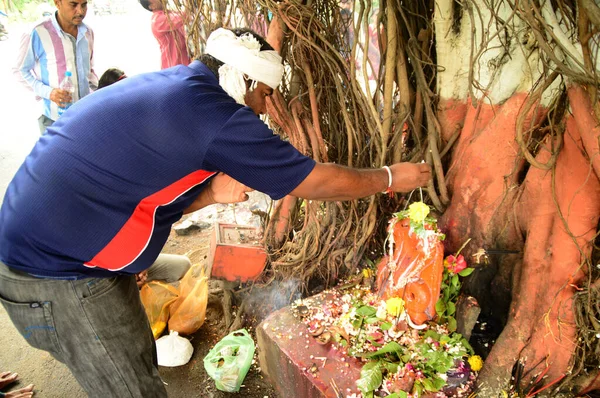 Nagpur, Maharashtra, Hindistan - 01 Ağustos: "Nag Panchami" festivalinde insanlar Snake God 'a tapıyor. Hindistan 'ın Nagpur kentinde 1 Ağustos 2014' te Hindular tarafından yılanlara ve yılanlara geleneksel olarak ibadet edilir. — Stok fotoğraf