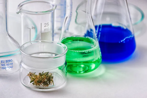 Laboratory Glassware with Marijuana Bud in Small Glass Container — Stock Photo, Image