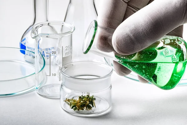 Pouring Liquid into Small Glass Container Containing Marijuana Bud — Stock Photo, Image