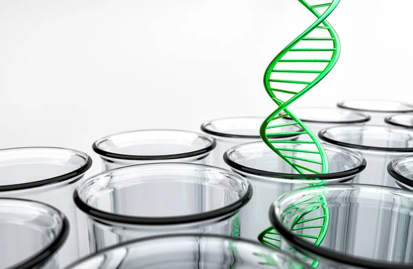 Test tüpü içinde yeşil çift sarmal DNA'ın 3D render — Stok fotoğraf