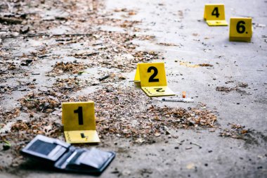Crime scene Investigation
