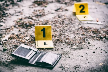 Crime scene Investigation