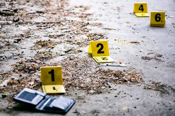 Crime scene Investigation