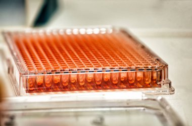 Mikroplaka Biyokimyada kullanılan micropipette için