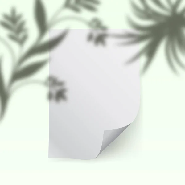 Prázdný Kus Papíru Stínem Vegetace Šablona Pro Návrh Fotorealistická Vektorová — Stockový vektor