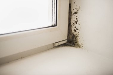 Pencerenin köşesindeki küf