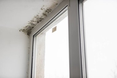 mold in the corner of the window clipart