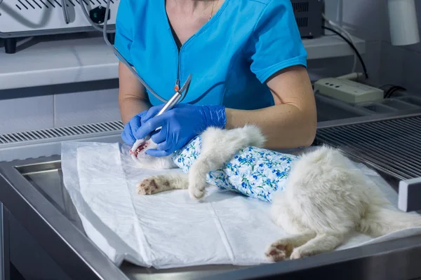 Zahnarzt behandelte Zähne, — Stockfoto