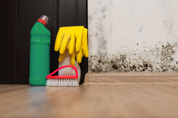 Black mold in the room wall.