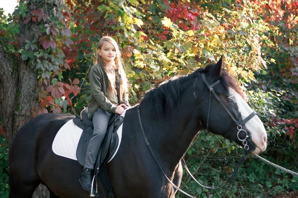 Thérapie avec les chevaux - hippopotame — Photo