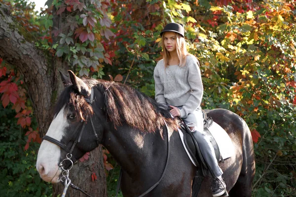 Therapy with horses - hippo therapy — Stock Photo, Image