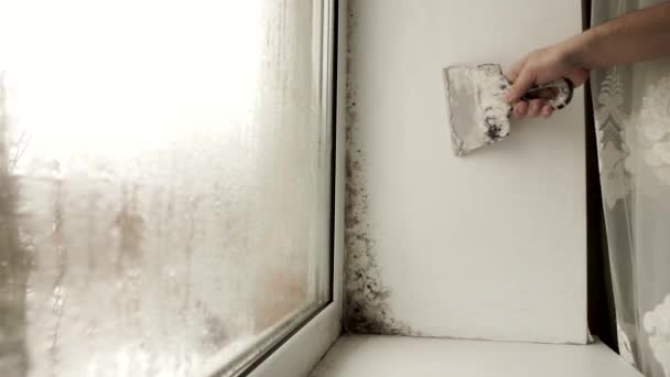 Black mold in the corner of window Preparation for mold removal. — Stock Video