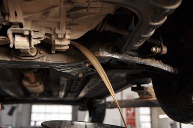 Otomatik şanzıman yağ değişimi. Hortum aracılığıyla petrol dolum. Araba bakım istasyonu. Kırmızı dişli yağı. Araba tamircisi yağı eller.