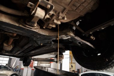 Otomatik şanzıman yağ değişimi. Hortum aracılığıyla petrol dolum. Araba bakım istasyonu. Kırmızı dişli yağı. Araba tamircisi yağı eller.