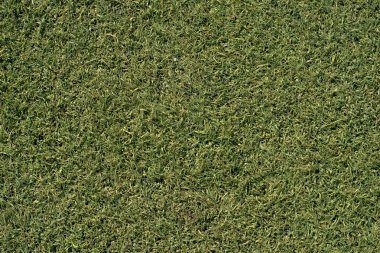 arka plan için suni çim