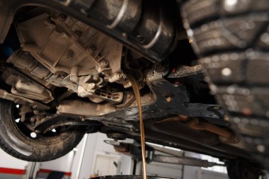 Otomatik şanzıman yağ değişimi. Hortum aracılığıyla petrol dolum. Araba bakım istasyonu. Kırmızı dişli yağı. Araba tamircisi yağı eller.