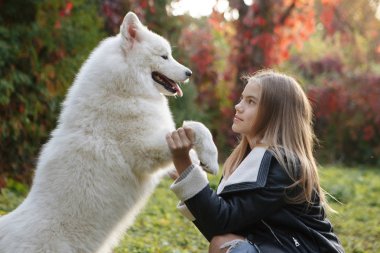 Sevimli küçük bir çocuk, bir bebek veya yürümeye başlayan çocuk kızla köpeğini açık portresi, yere sarı ve kırmızı sonbahar sonbahar ile bir parkta oturan sarı labrador arka planda kalıyor.