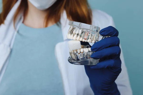 Appuntamento odontoiatrico, strumenti odontoiatrici e concetto di check-up igienico dentale con protesi dentarie modello e strumenti stomatologici su grigio scuro. Controlli regolari sono essenziali per la salute orale — Foto Stock