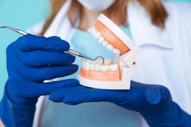 Diş hekimi randevusu, diş hekimliği aletleri ve diş hijyenisti kontrol konsepti. Diş modelleri takma dişler ve koyu gri üzerine stomatoloji aletleri. Düzenli kontroller oral sağlık için gereklidir