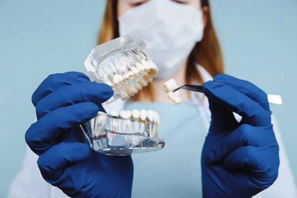 Appuntamento odontoiatrico, strumenti odontoiatrici e concetto di check-up igienico dentale con protesi dentarie modello e strumenti stomatologici su grigio scuro. Controlli regolari sono essenziali per la salute orale — Foto Stock