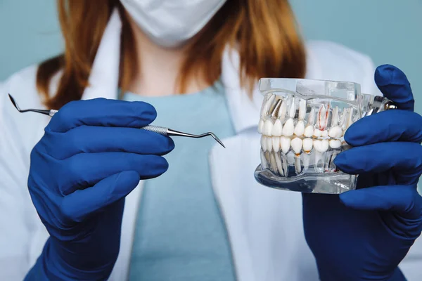 Consulta odontológica, instrumentos odontológicos e conceito de check-up higienista dentário com dentaduras modelo e instrumentos de estomatologia em cinza escuro. Verificações regulares são essenciais para a saúde bucal — Fotografia de Stock