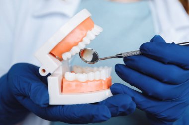 Diş hekimi randevusu, diş hekimliği aletleri ve diş hijyenisti kontrol konsepti. Diş modelleri takma dişler ve koyu gri üzerine stomatoloji aletleri. Düzenli kontroller oral sağlık için gereklidir