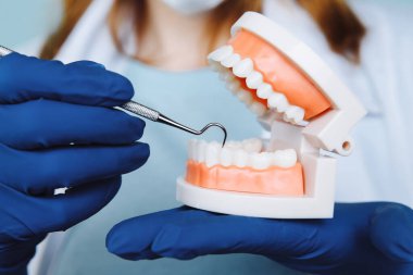 Diş hekimi randevusu, diş hekimliği aletleri ve diş hijyenisti kontrol konsepti. Diş modelleri takma dişler ve koyu gri üzerine stomatoloji aletleri. Düzenli kontroller oral sağlık için gereklidir