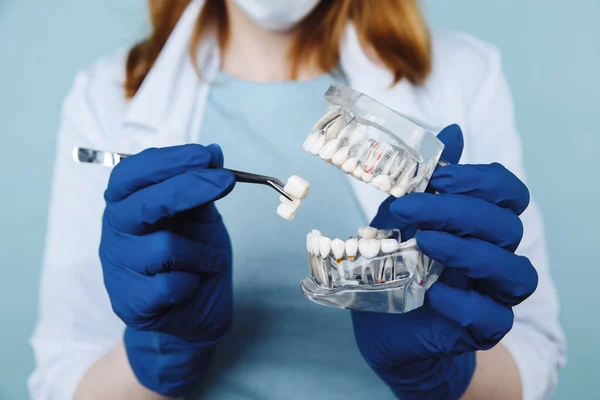 Cita con dentista, instrumentos de odontología y concepto de chequeo de higienista dental con prótesis dentales modelo e instrumentos de estomatología en gris oscuro. Los chequeos periódicos son esenciales para la salud oral — Foto de Stock