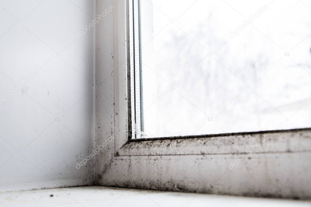 mold in the corner of the window