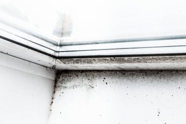 Pencerenin köşesindeki küf