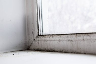 Pencerenin köşesindeki küf