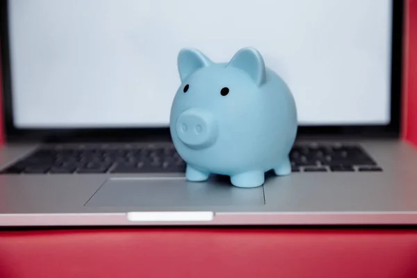 Laptop urządzenie i pieniądze box piggy w różowym pokoju. — Zdjęcie stockowe