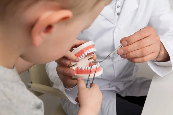 Kind met tandarts overweegt nep kaak in de kast samen. — Stockfoto