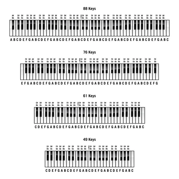 Piano Keyboards Standard Key Key Key Key Layouts Labels Isolated — Stock Vector